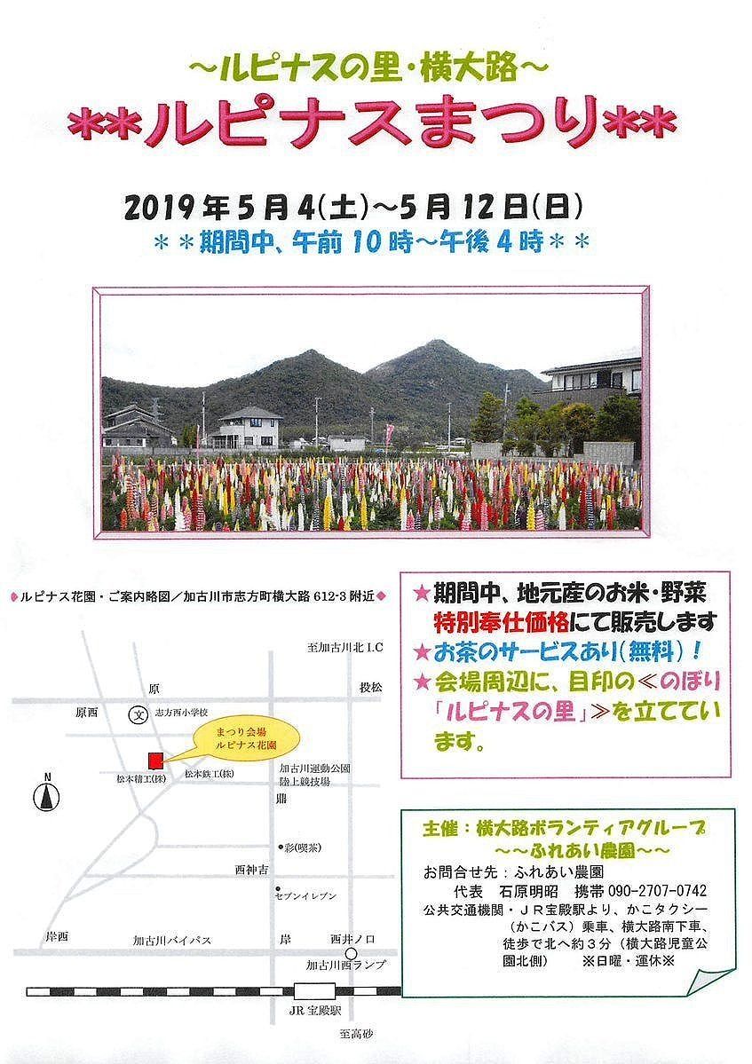 「ルピナスまつり」人気のイベントが加古川市志方町横大路で開催されます
