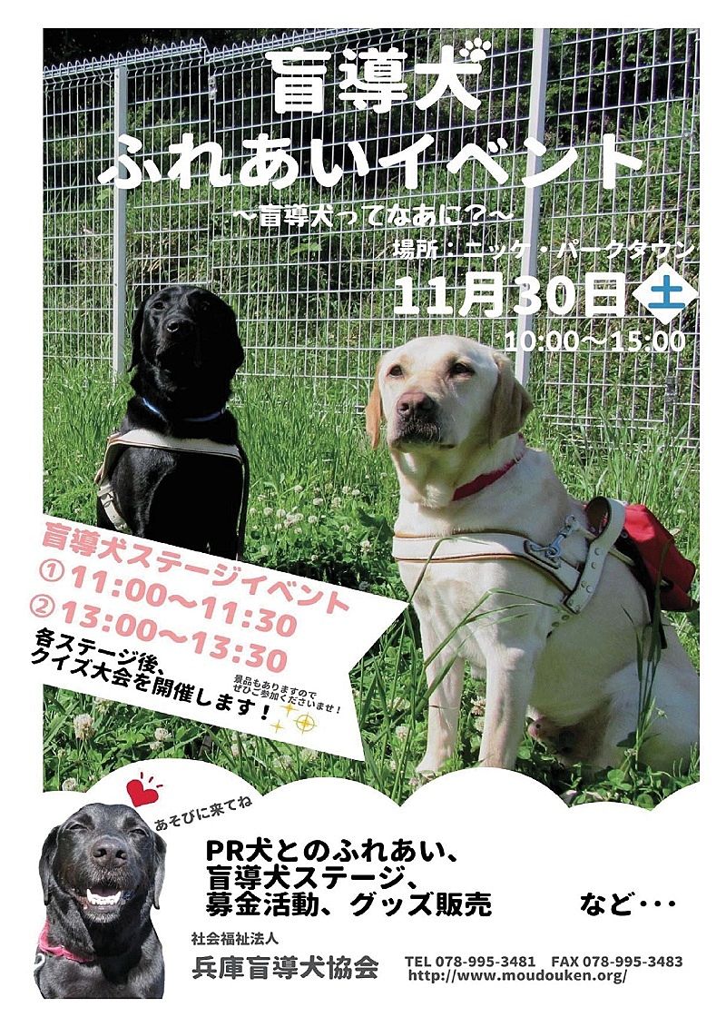 盲導犬ってなあに？「盲導犬ふれあいイベント」が11月30日（土）加古川のニッケパークタウンで開催されます！
