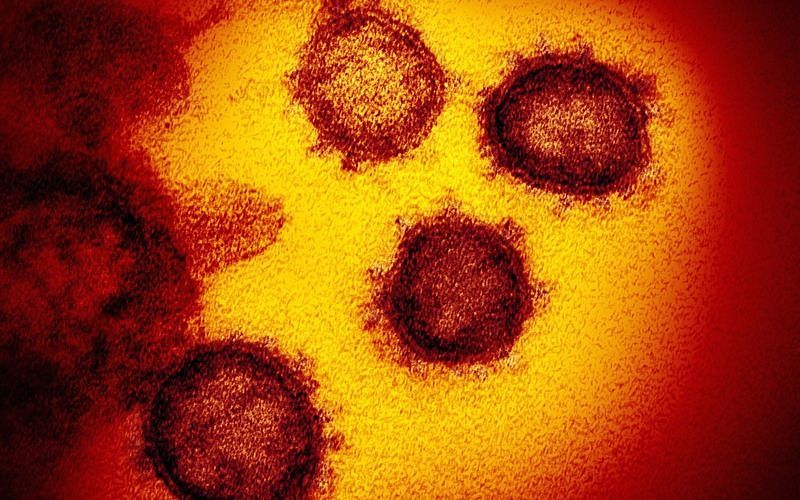 加古川市内で2例目の新型コロナウイルス感染症の発生が確認されました　20歳代の若い人の感染です