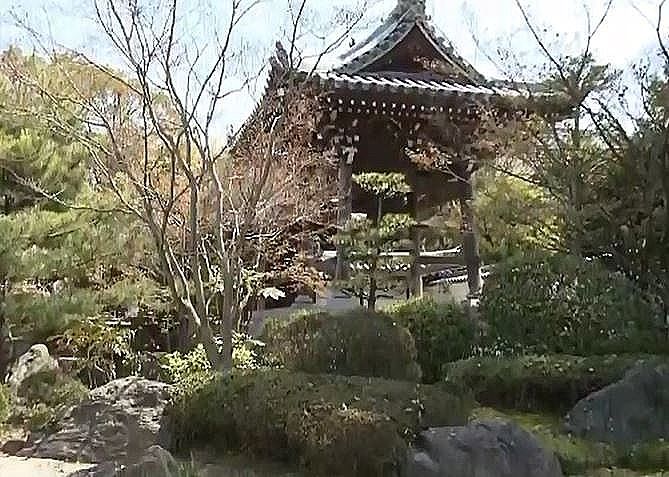 本堂の前の手入れが行き届いた回遊式の日本庭園