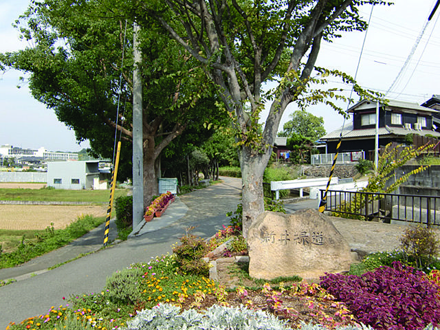 新井緑道（しんゆりょくどう）私の住む街「加古川」の紹介です　新井緑道の南の端