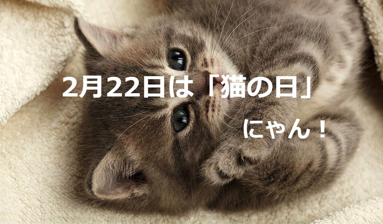2月22日は「猫の日」です！海外の猫の日、日本の猫に関するその他の猫の記念日