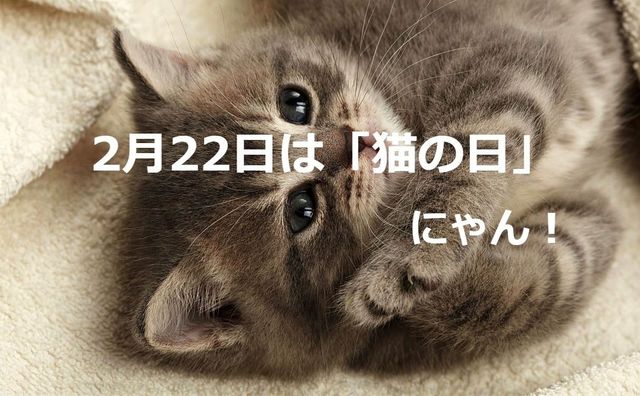 2月22日は「猫の日」です！海外の猫の日、日本の猫に関するその他の猫の記念日